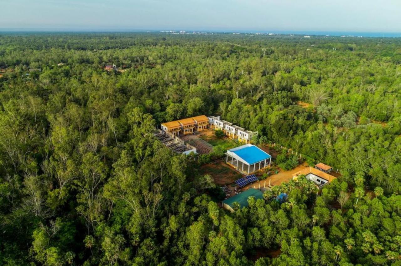 Paradisestay Auro Jungle Resort Puduccseri Kültér fotó