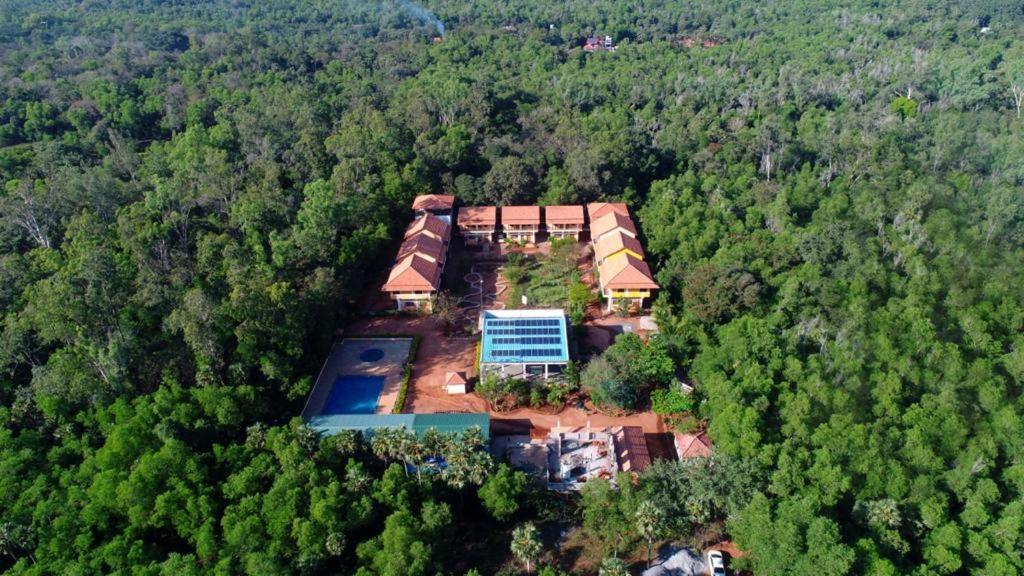 Paradisestay Auro Jungle Resort Puduccseri Kültér fotó